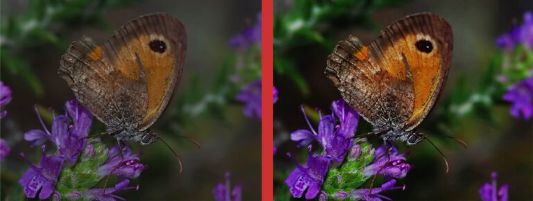 Photoshop: Correggere una foto sottoesposta con lo strumento Curve