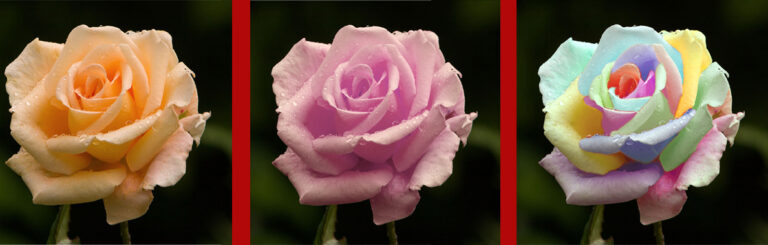 Photoshop: cambiare colore agli oggetti