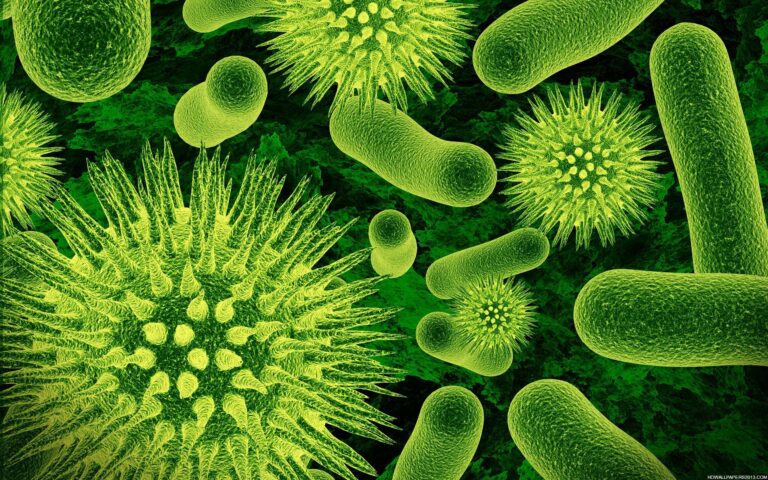 Virus facebook: attenzione ai contenuti pornografici