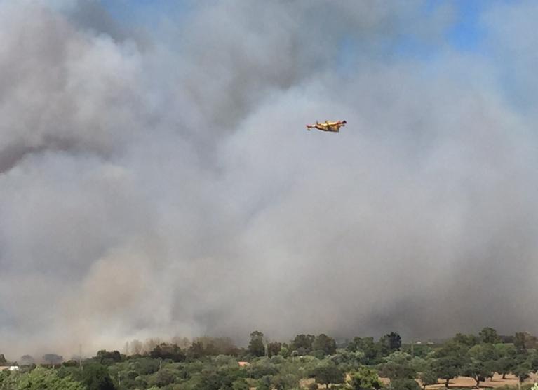 Sardegna, incendi: tanta paura per i turisti