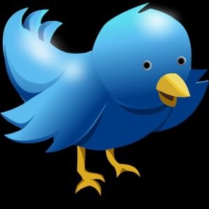 Twitter: vietato copiare i tweet senza citare la fonte