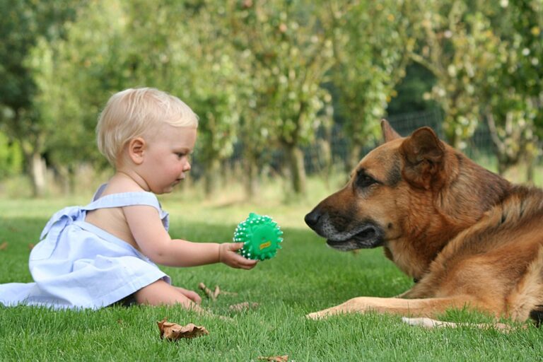 Tenere sotto controllo il diabete è più semplice con un animale domestico