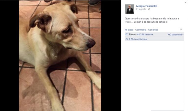 Giorgio Panariello salva cagnolina: migliaia di likes su Facebook