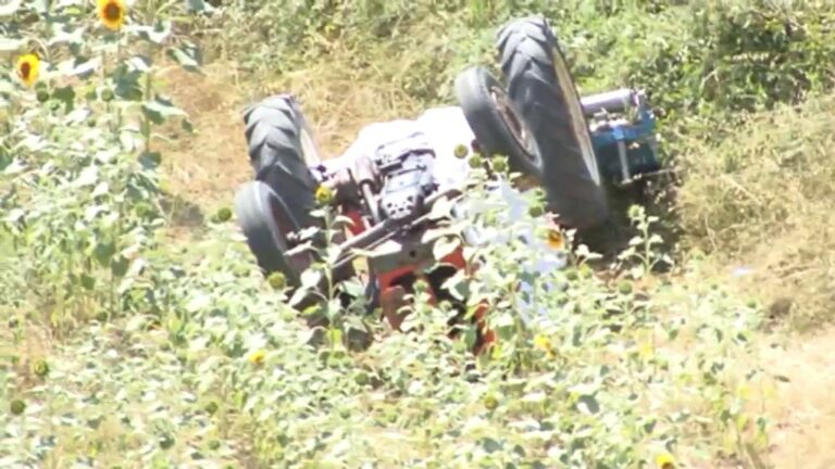 Taverna di Montalto: Mario Turco muore sul lavoro davanti i suoi fratelli