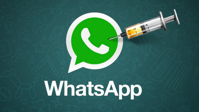 Virus WhatsApp: il nome dell’app viene usato per una truffa