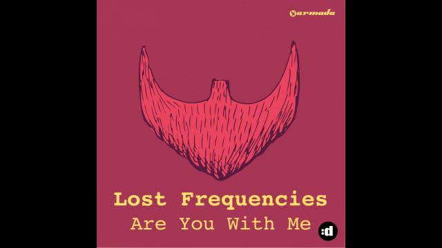 Lost Frequiences: l'incredibile successo di Are You With Me (testo, traduzione e video)