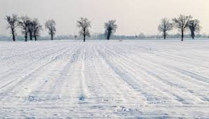Neve in pianura oggi lunedì 4 gennaio 2016: Veneto e Friuli colpite da ondata di freddo, le info